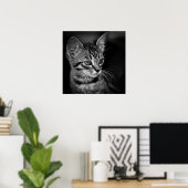 Kätzchen-405331 SCHWARZ-WEISSE Schwarz-weiße Katze Poster (Heimbüro)