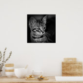 Kätzchen-405331 SCHWARZ-WEISSE Schwarz-weiße Katze Poster (Küche)