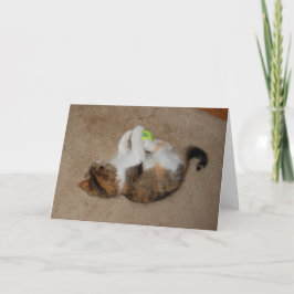 Kätzchen am Spiel mit Tennisball Karte