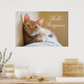 Kätzchen auf der Couch Poster (Küche)