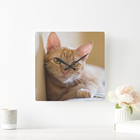 Kätzchen auf der Couch Quadratische Wanduhr (Zuhause)