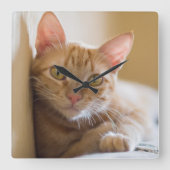 Kätzchen auf der Couch Quadratische Wanduhr (Vorderseite)