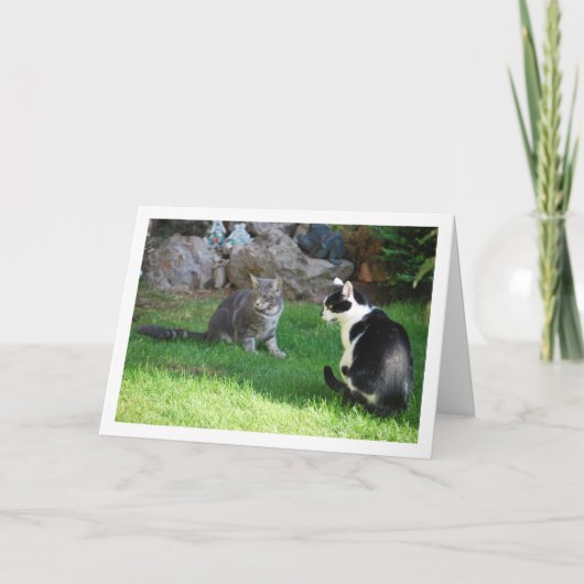 Kätzchen auf Gras Karte (Vorderseite)