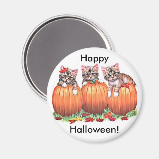 Kätzchen auf Kürbiskugeln für Halloween Button Magnet (Vorderseite/Rückseite)
