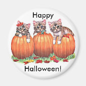 Kätzchen auf Kürbiskugeln für Halloween Button Magnet (Vorne)
