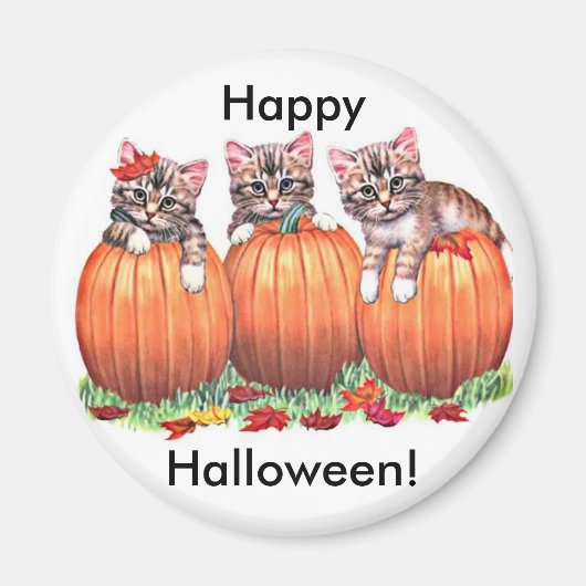 Kätzchen auf Kürbiskugeln für Halloween Button Magnet (Vorne)