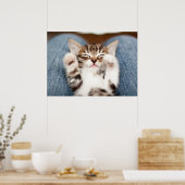 Kätzchen auf meinem Schreibtisch Poster (Küche)