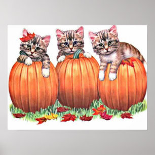 Kätzchen auf Pumpkins Print Poster