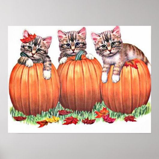 Kätzchen auf Pumpkins Print Poster (Vorne)