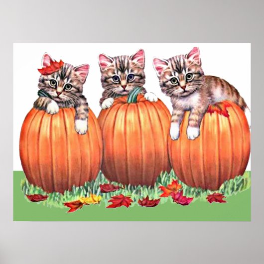 Kätzchen auf Pumpkins Print Poster (Vorne)