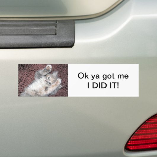 Kätzchen-Autoaufkleber Autoaufkleber (Auf Auto)