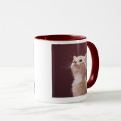 Kätzchen-Bärte Tasse (VorderseiteRechts)