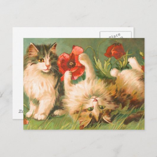Kätzchen bei Play Postcard Postkarte (Vorne/Hinten)