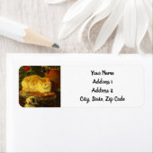 Kätzchen beim Spielen (Insitu)