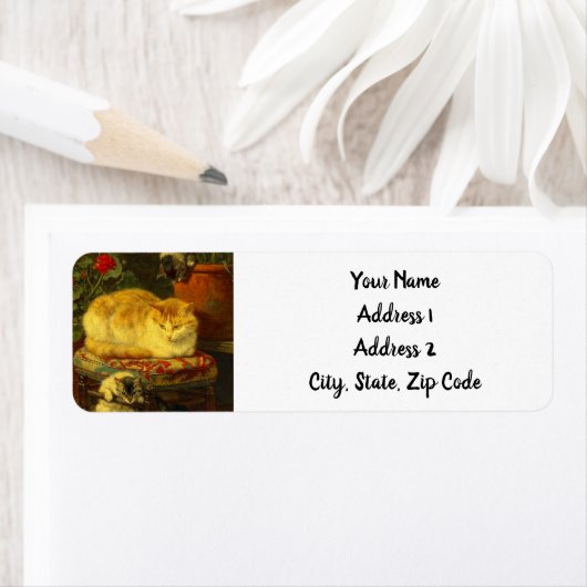 Kätzchen beim Spielen (Insitu)