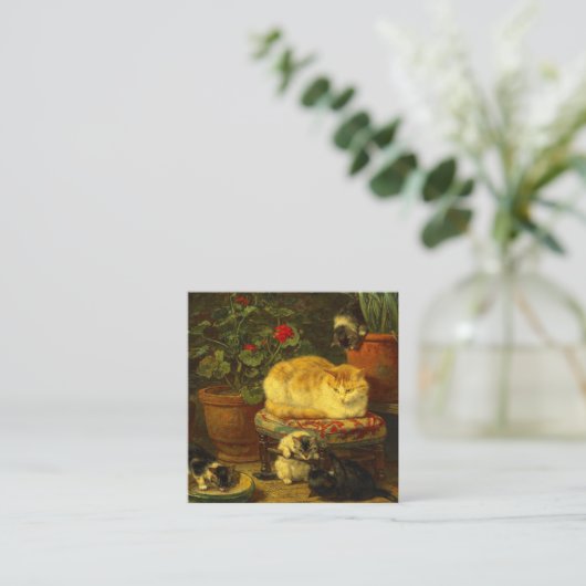 Kätzchen beim Spielen Begleitkarte (Stehend Vorderseite)