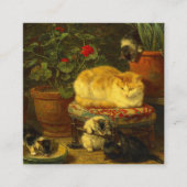 Kätzchen beim Spielen Begleitkarte (Vorderseite)