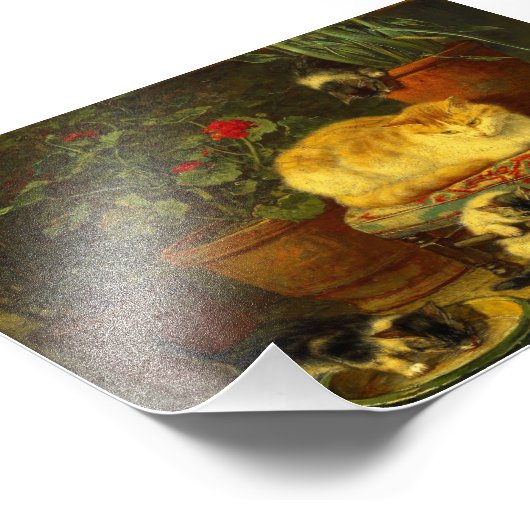 Kätzchen beim Spielen Fotodruck (Ecke)