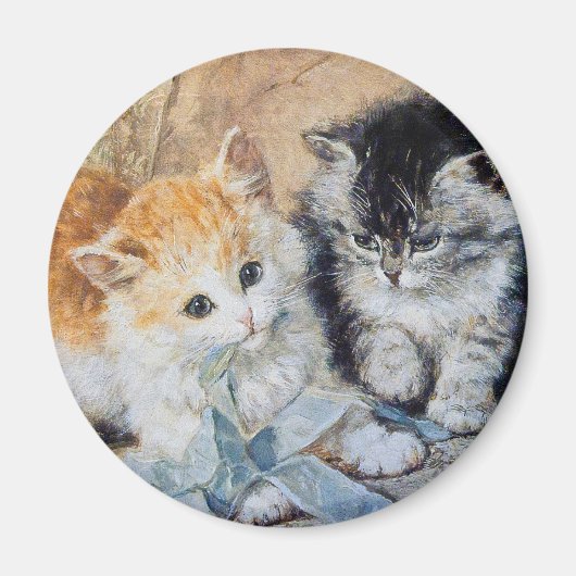 Kätzchen beim Spielen Magnet (Vorne)