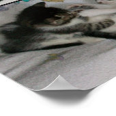 Kätzchen beim Spielen Poster (Ecke)