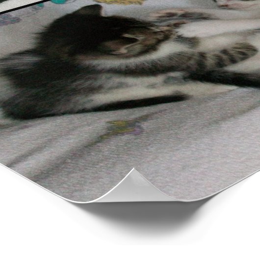 Kätzchen beim Spielen Poster (Ecke)