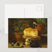 Kätzchen beim Spielen Postkarte (Vorne/Hinten)