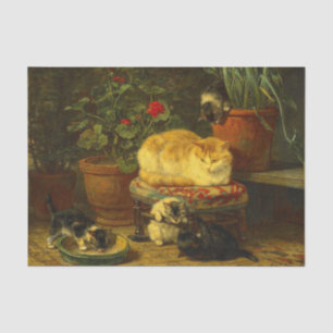 Kätzchen beim Spielen Seidenpapier