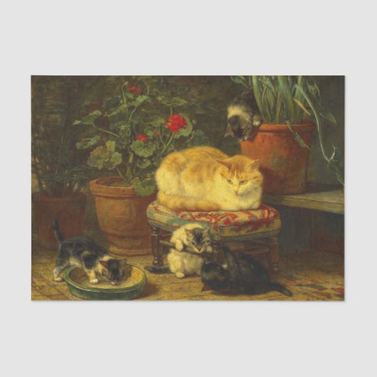 Kätzchen beim Spielen Seidenpapier (Vorderseite)