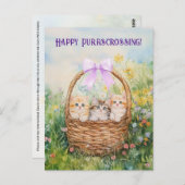 Kätzchen beim Überqueren - Postkarte (Vorne/Hinten)