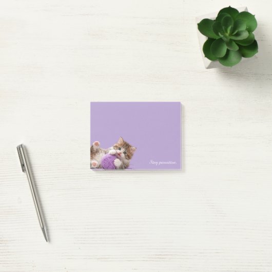Kätzchen Bleib Positiv Klebezettel Post-it Klebezettel (Büro)
