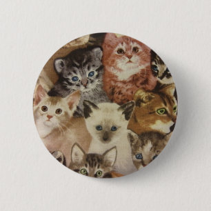 Kätzchen Button