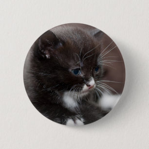 Kätzchen Button