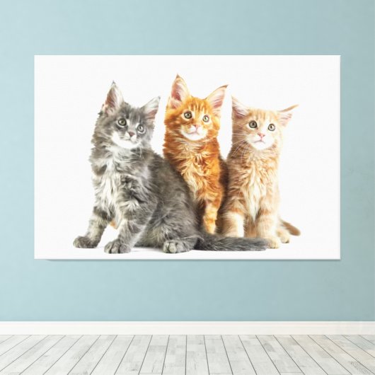 Kätzchen Canvas Print Picture 12 Leinwanddruck (Insitu (Holzboden))