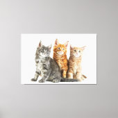 Kätzchen Canvas Print Picture 12 Leinwanddruck (Vorderseite)