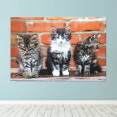 Kätzchen Canvas Print Picture 16 Leinwanddruck (Insitu (Holzboden))