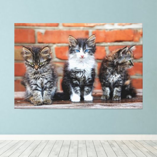 Kätzchen Canvas Print Picture 16 Leinwanddruck (Insitu (Holzboden))