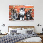 Kätzchen Canvas Print Picture 16 Leinwanddruck (Insitu (Schlafzimmer))