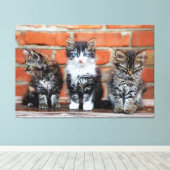 Kätzchen Canvas Print Picture 4 Leinwanddruck (Insitu (Holzboden))