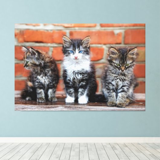 Kätzchen Canvas Print Picture 4 Leinwanddruck (Insitu (Holzboden))