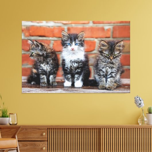 Kätzchen Canvas Print Picture 4 Leinwanddruck (Insitu (Wohnzimmer))