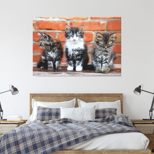 Kätzchen Canvas Print Picture 4 Leinwanddruck (Insitu (Schlafzimmer))