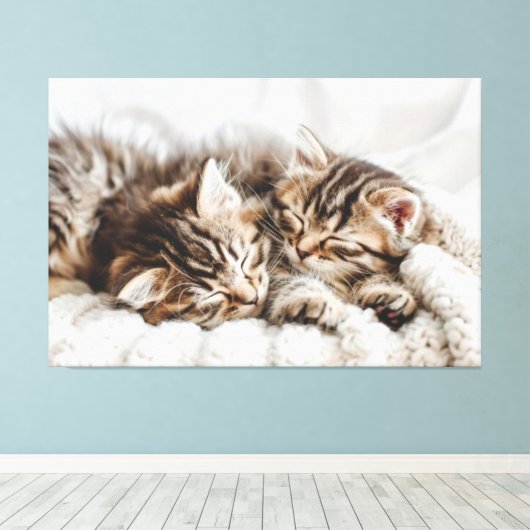 Kätzchen Canvas Print Picture 5 Leinwanddruck (Insitu (Holzboden))