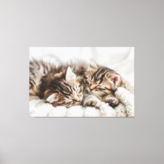 Kätzchen Canvas Print Picture 5 Leinwanddruck (Vorderseite)