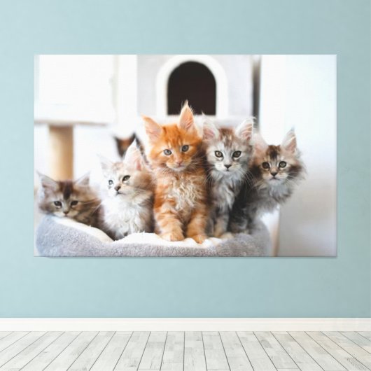 Kätzchen Canvas Print Picture 9 Leinwanddruck (Insitu (Holzboden))