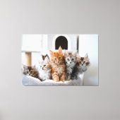 Kätzchen Canvas Print Picture 9 Leinwanddruck (Vorderseite)