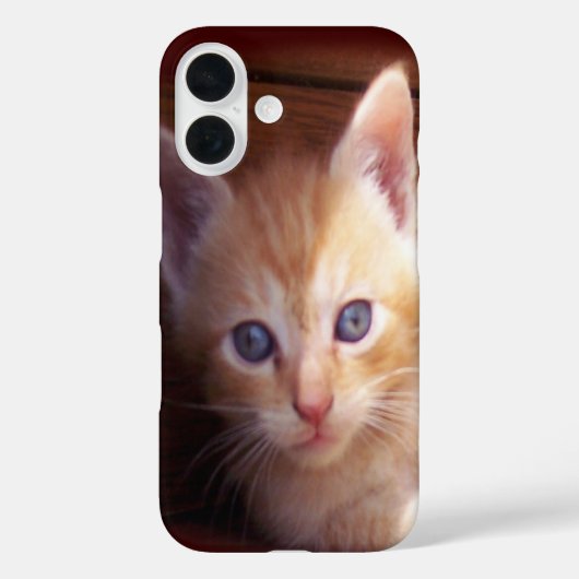 Kätzchen Case-Mate iPhone Hülle (Rückseite)