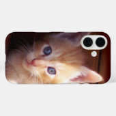 Kätzchen Case-Mate iPhone Hülle (Rückseite (Horizontal))
