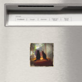KÄTZCHEN CB MAGNET (In Situ (Geschirrspüler))