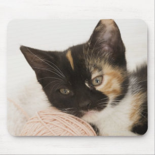 Kätzchen, das auf Ball der Schnur legt Mousepad