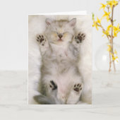 Kätzchen, das auf einem weißen flaumigen Teppich, Karte (Gelbe Blume)